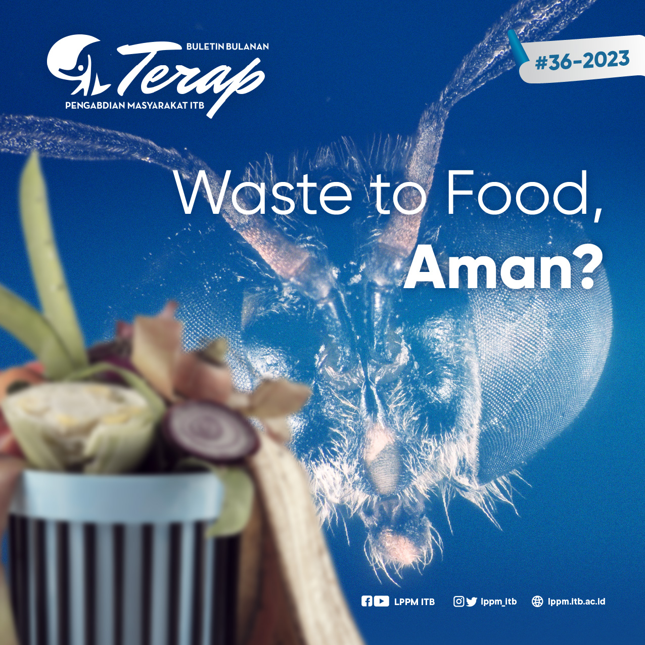 Waste to Food, Aman?