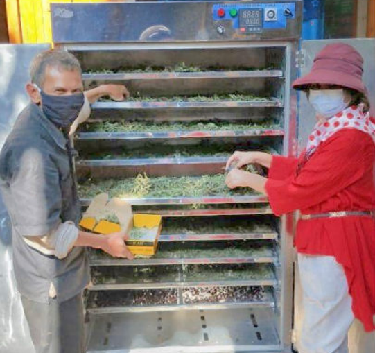 Aplikasi Teknologi Pengeringan Untuk Meningkatkan Nilai Ekonomi Daun Stevia Kering Dalam Rangka Memajukan Kesejahteraan Petani Stevia Di Lembang