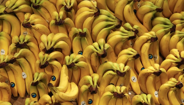 Pencegahan dan Penanganan Banana Blood Disease di Banana Smart Village