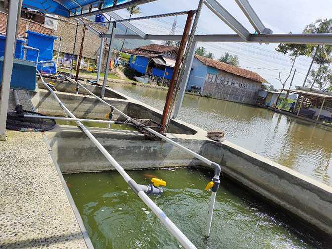 Aplikasi Teknologi Tepat Guna Biofiltrasi Untuk Meningkatkan Status Keberlanjutan Industri Pembenihan Ikan Mas (Cyprinus carpio L) di Kecamatan Ciparay, Jawa Barat