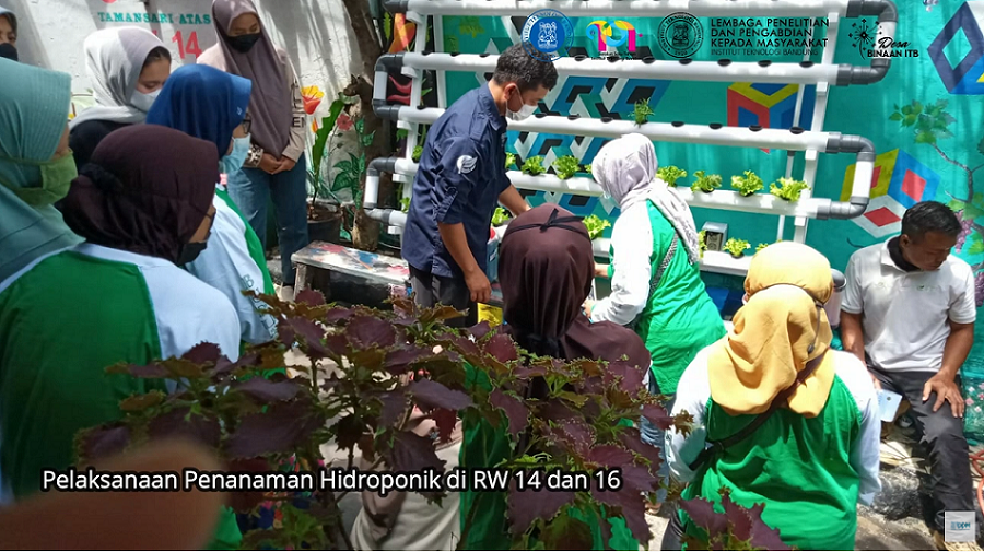 Pilot Project Untuk Ketahanan Pangan Masa Pandemi Melalui Program Buruan Sae Rw 14 Dan Rw 16 Kelurahan Taman Sari Kecamatan Bandung Wetan Kota Bandung