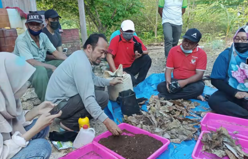 Membangun Usaha Agribisnis di Pulau MAratua Kecamatan Maratua Kabupaten Berau Provinsi Kalimantan Timur