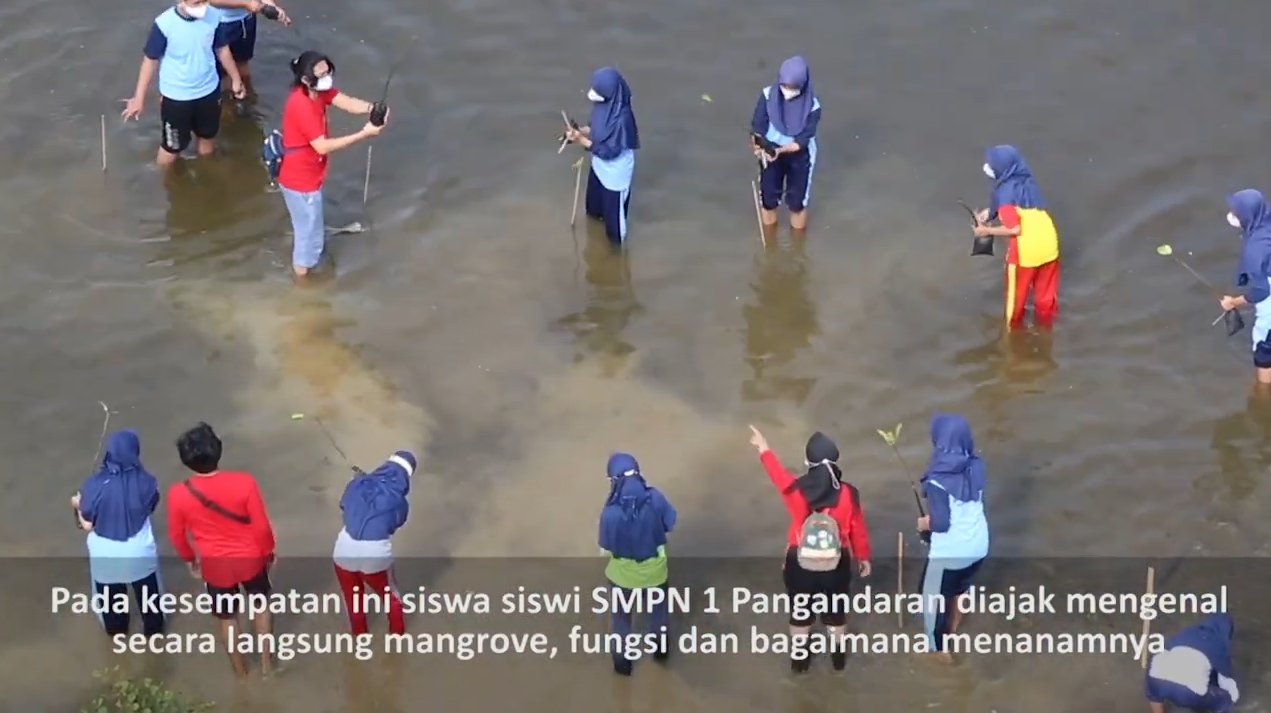 Komunitas Sains Dan Teknologi Untuk Pangandaran Integrated Aquarium And Marine Research Institute (Piamari) Dalam Eksperimen Skala Kecil Ekosistem Terumbu Karang Indonesia Di Akuarium