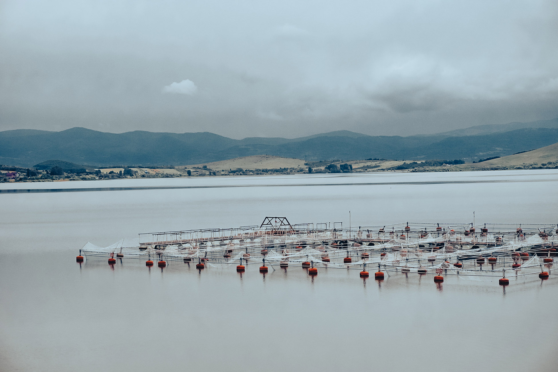 Numerical study of hydrodynamic and sedimentation for sustainable marine floating cage aquaculture in Indonesia: a case study in Situbondo, East Java.